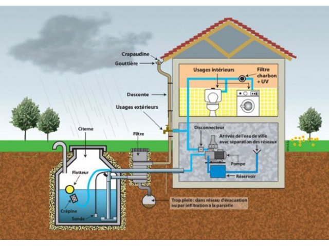 Gaffier-recuperation_eau_de_pluie_1